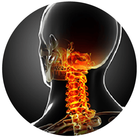 Xray and ultrasound referral